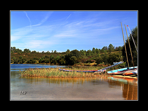 reed water río river landscape boats agua barcos paisaje juncos rememberthatmomentlevel1