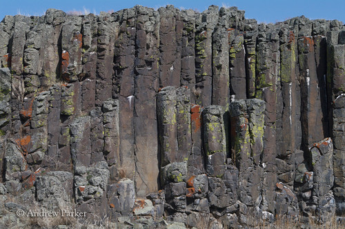 washington basalt scablands lincolncounty columnarbasalt iceagefloods lakeviewranch