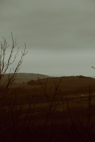trees sky france tree castle art nature monochrome sepia canon fun photography eos mono photo spring europe view photos panoramic valley chateau lorraine lanscape moselle geotaged geottaged meurthe 550d meurtheetmoselle