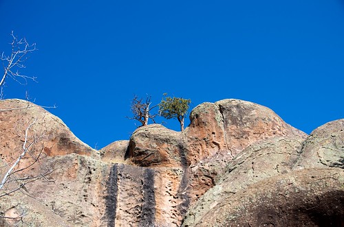 trees rocks sanluisvalley penitentecanyon