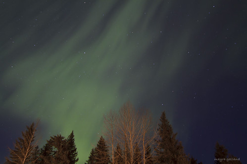 Aurora Borealis. Girdwood, AK
