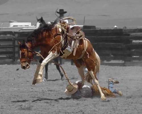 horse oregon hurt cowboy desert nevada injury western rodeo bronco buck bucking