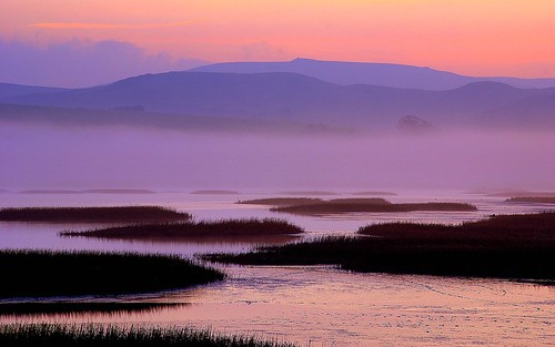 california fog sunrise hills marincounty marsh pointreyes 2008 westmarin inverness tomalesbay sonydlsra100 prns quantaray18200