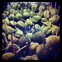 Well, that's a cart full of durians.