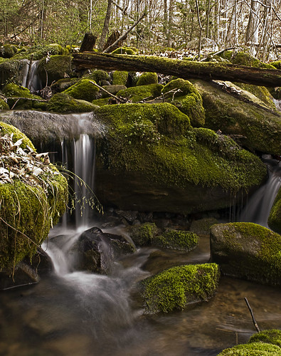 water virginia moss rocks country logs peaceful slowshutter serene streams stonemountain rosehill leecounty nikond60 smokeywater kjerrellimages