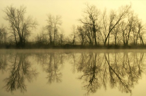 trees mist nature water fog reflections landscape hudsonriver saratogany