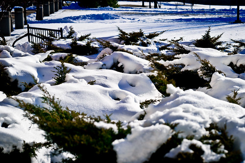 winter snow landscape scenes 2012 valpo vuca valparaisouniversity