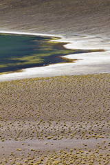 Cile - Lagune Miscanti e Miniques