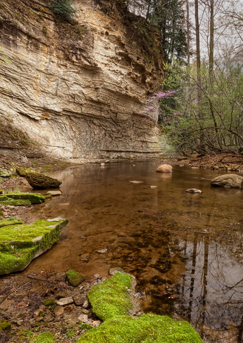 water rock creek spring stream cliffs honeycombrock redbuds pinehillsnaturepreserve