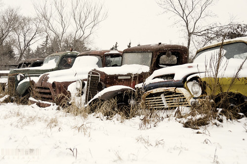 old winter snow cars field vintage rust antique retro marshall saskatchewan 365project