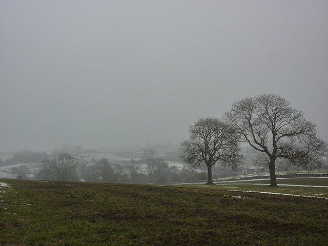 Fields near Bonsall