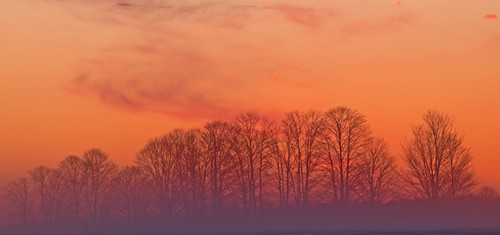 morning trees winter cold field sunrise early bancroft