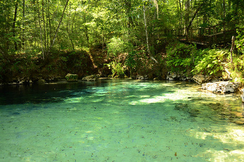 water spring florida clear springs gainer emeraldsprings gainersprings