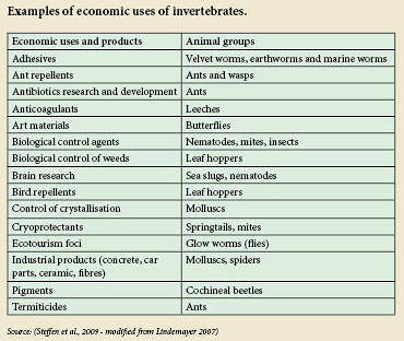 Examples of economic uses of invertebrates by Kaz Creatures