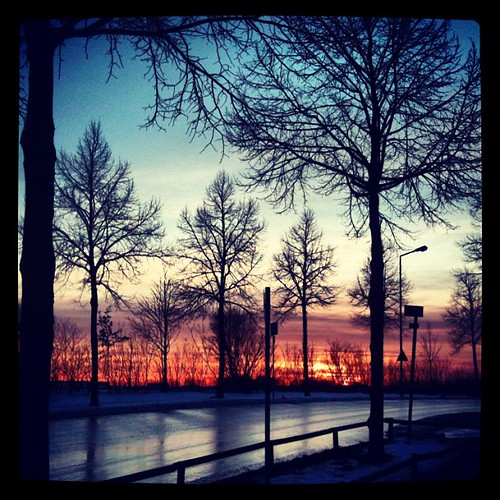 street trees sunset sky germany campus deutschland university dusk squareformat augsburg iphone universitätaugsburg instagram