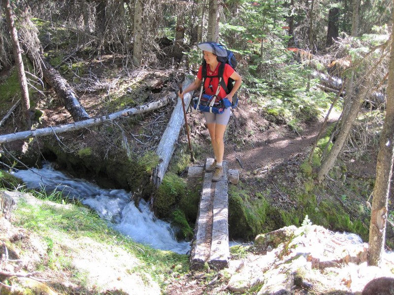 Vicki crossing a small footbridge on the Cascade River Trail