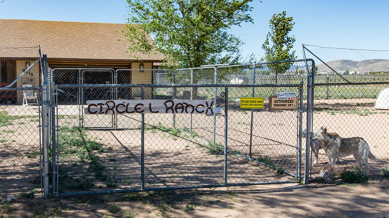 Circle L Ranch Entrance