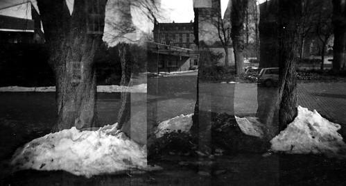 schnee winter bw snow tree 120 film analog mediumformat germany deutschland mf expired baum schleswigholstein holgarama orwonp22 multix holgagn hohenwestedt