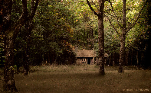 trees france fairytale forest hovel foliage hut shack hutch villandry digitalcameraclub