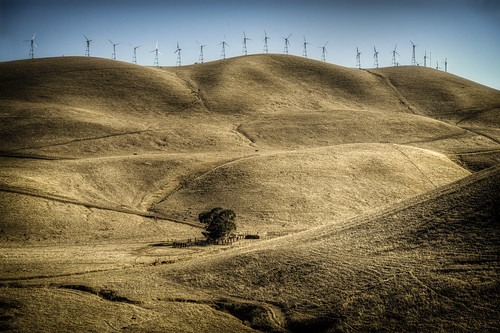 california usa tree mill animals landscape cow view cows path windmills hills northamerica geotag 2012 bo47 bonielsen nikond3s