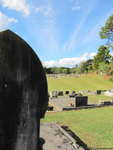 headstones cemeteryview 4may2014 tuakaucemetery
