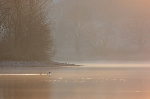park lake sunrise haze nikon state pennsylvania ducks reservoir pa marshcreek d7000