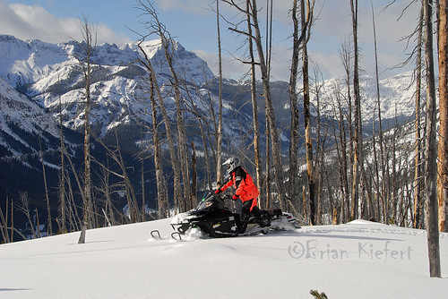 city trees winter snow mountains montana rocky burnt sledding sled snowmobile cooke