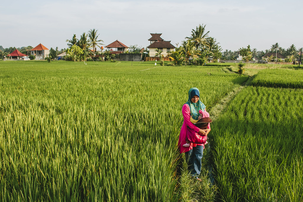 Traveling Family  | Penestanan Rice Field | Ubud | Bali