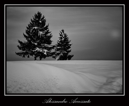 winter panorama snow tree alberi landscape natura neve inverno paesaggio blackwhitephotos pralormo