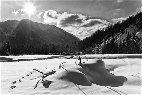 leica schnee winter bw germany deutschland bavaria oberbayern sw isar m9 loipe vorderriss rissbach voigtlandernokton35mmf14sc silverefexpro