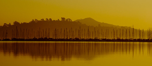 sanfrancisco morning sky water northerncalifornia yellow skyline clouds sunrise landscape boats dawn bay seascapes explore serene sausalito masts moorings nkon 70210mm d40x