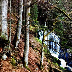 Triberger Wasserfälle im Schwarzwald