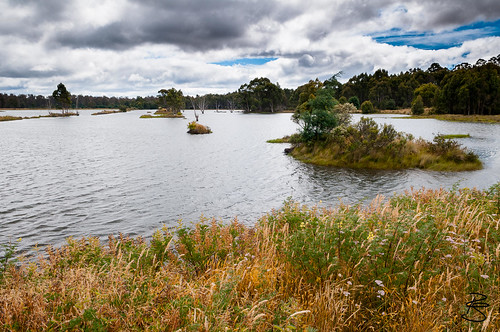 wasser lakes australia tasmania australien tassie seen tasmanien gewässer commonwealthofaustralia inlandwater binnengewässer vandiemensland stretchofwater bradyslake australienkontinent lutriwita