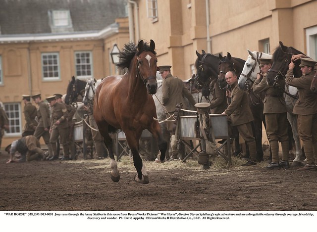"WAR HORSE"..338_DM-D13-0091..Joey runs through the Army Stables in this scene from DreamWorks Pictures' "War Horse", director Steven Spielberg's epic adventure and an unforgettable odyssey through courage, friendship, discovery and wonder...Ph: David App