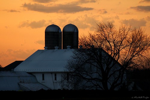 winter sunset tree silhouette barn pennsylvania farm farming silo amish lancaster