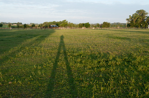 shadow argentina evening estancialosdoshermanos