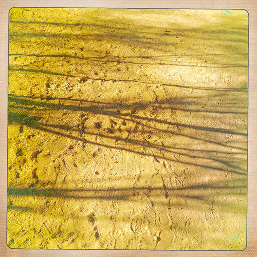 arizona shadows sunny artfair ussouthwest tubacarizona wanderingaroundtubac