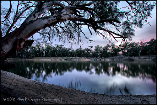 reflection tree water glass sunrise canon river still log bend bank australia fallen nsw hanging outback 2711 hay plains murrumbidgee bushy overhanging efs1022mm 550d t2i hayplains haynsw eos550d markcooperphotography