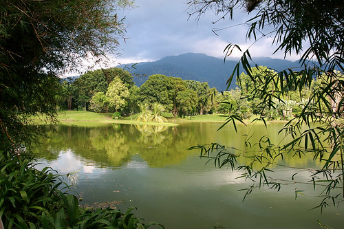 pool landscape pond visit malaysia taiping kolam tasik perak tamantasik taipinglakegarden tamantasiktaiping