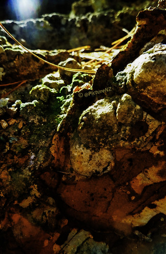 shadow newzealand stone underground rocks canterbury spotlight nz southisland below highlight lyttelton diamondharbour quailisland shaftoflight