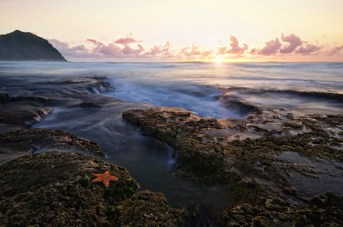 ocean sea sun holiday seascape beach water rock clouds sunrise hawaii marine starfish coastal reef ls tidalpools kauaii uwb