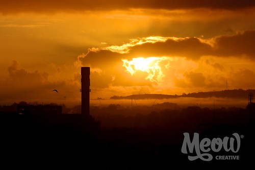 ireland irish sun bird silhouette clouds sunrise dark dawn cork tripod pillars corcaigh 105mm widedepthoffield iso250 f140 éire nikond7000 0001sec1800 éireann