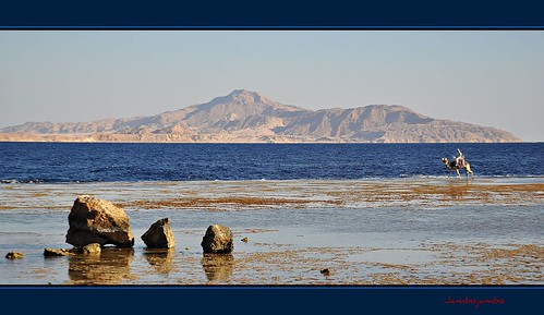 panorama landscape island nikon redsea egypt sharmelsheikh camel reef egitto bedouin isola cammello beduino tiran barrieracorallina marrosso d5000 grandemaregroup nikonflickraward jambojambo