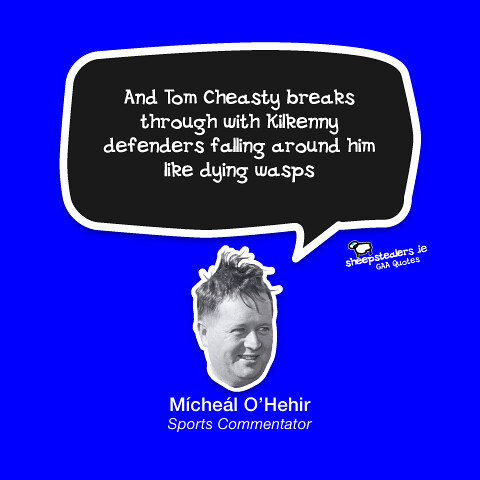gaa quotes waterford micheal o hehir - Flickr - Photo Sharing!