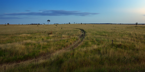 sky roma field grass rural australia qld queensland outback paddock