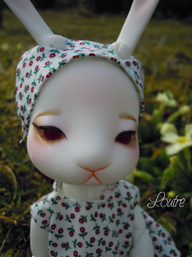 CocoTribe Ruby the Beauty Rabbit : voici Milk ! 6999545691_2d59a52452