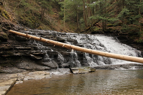 waterfall pennsylvania saltspringsstatepark susquehannacounty