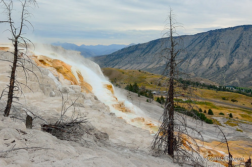 VIAJE COSTA OESTE EE.UU. - Blogs de USA - Yellowstone - Zona Norte (13)
