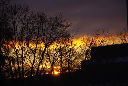morning trees winter sky orange sun clouds sunrise ottawa westboro earlswood sooc kitchissippi