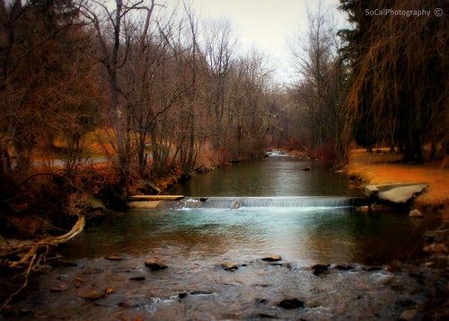 lehighvalley pa pennsylvania winter launch birds nature natural landscape banks river creek water rocks rocky stones grass trees mooretownship stream waterfall branches forest woods bath explore explored carolynlandi